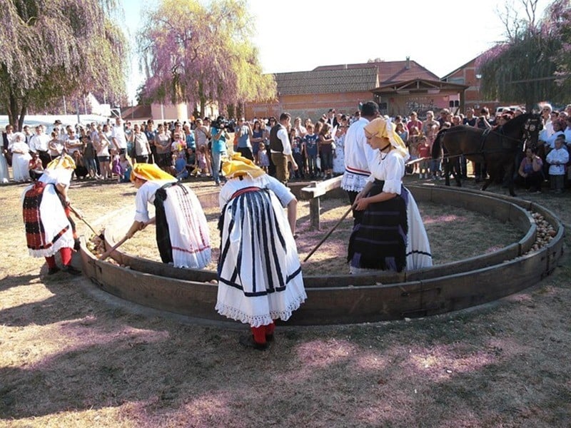 Ižimača u Beravcima