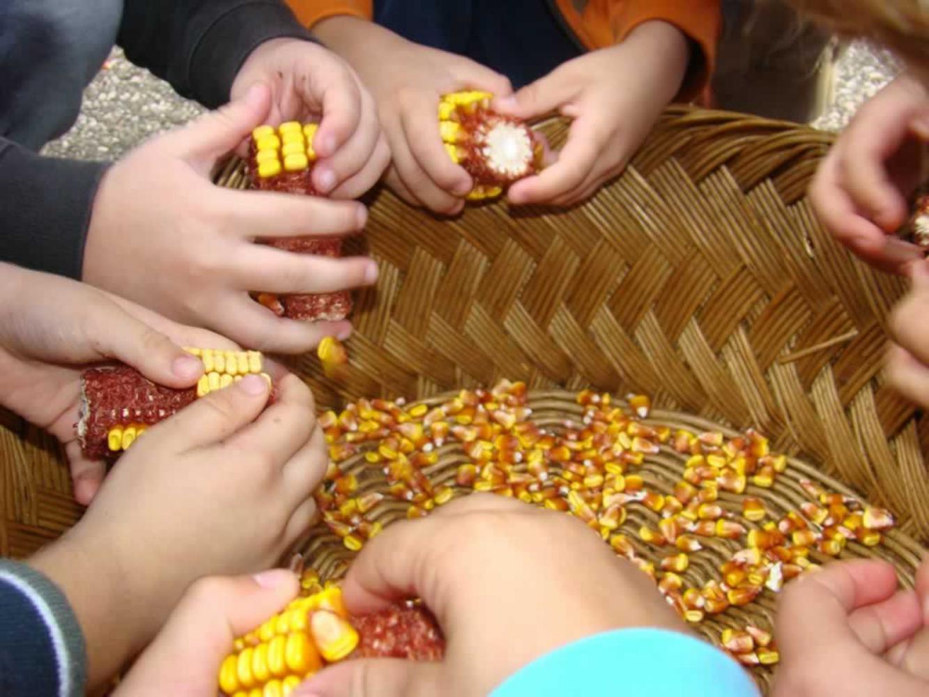 Jesen u Zagorju – Od zrna do pogače