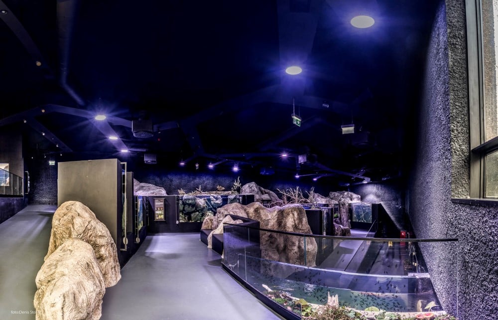 Aquatika nagrada Brand Leader Award 2018