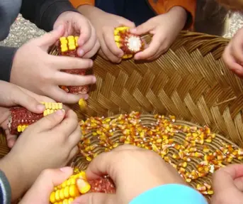 Jesen u Zagorju – Od zrna do pogače